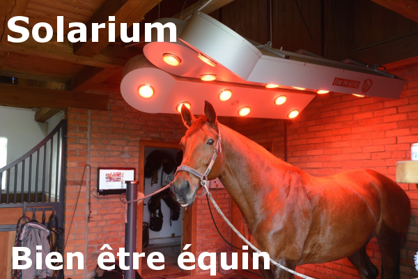 bien être du cheva solarium pour chevaux